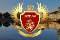 关于腾龙公司游戏服务场景